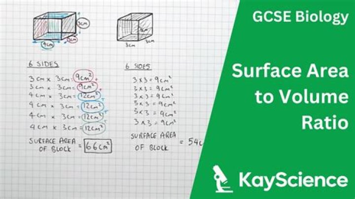 What is the unit for surface area to volume ratio?