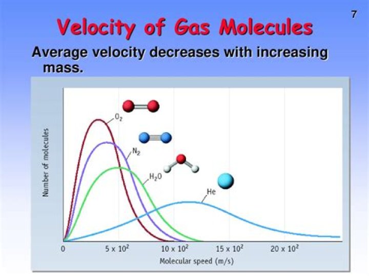 What is the velocity of gas molecules?