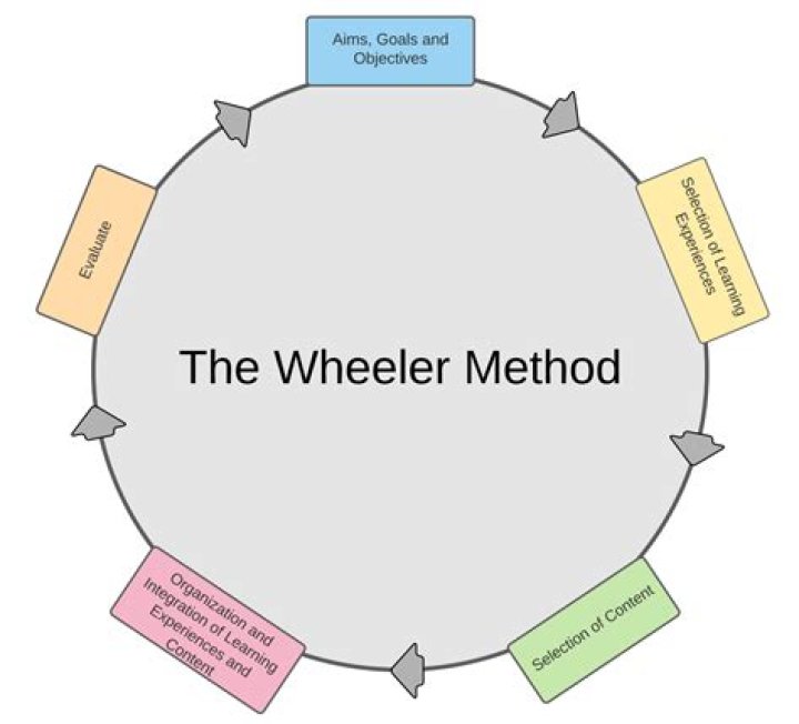 What is the Wheeler model?
