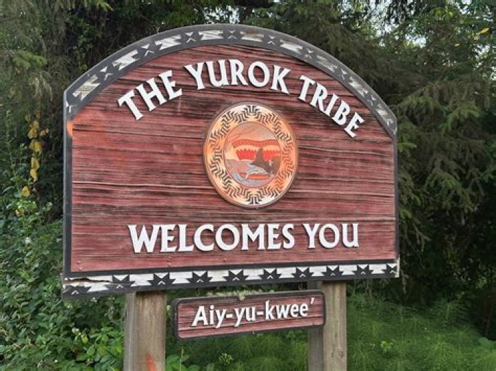 What is the Yurok tribe known for?