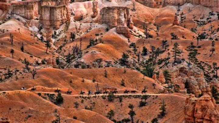 What is there to do at Kings Canyon National Park in the winter?