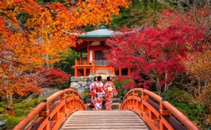 What is there to do in Kyoto in autumn?