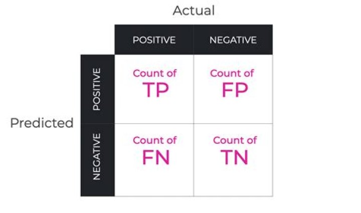 What is TP TN FP FN?