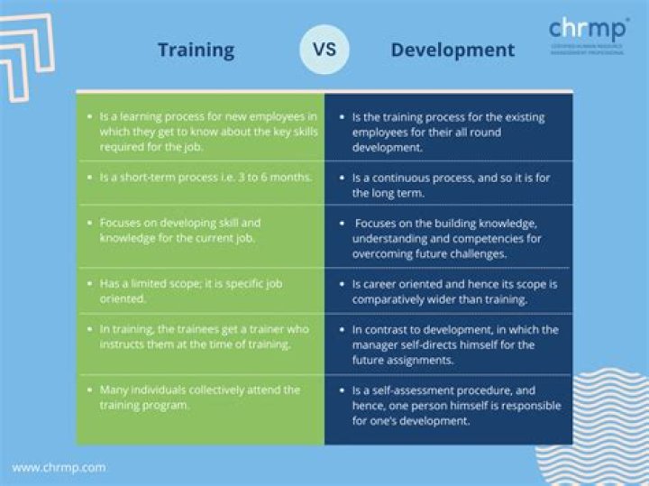 What is training and development of employee?
