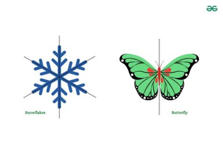 What is two fold symmetry?