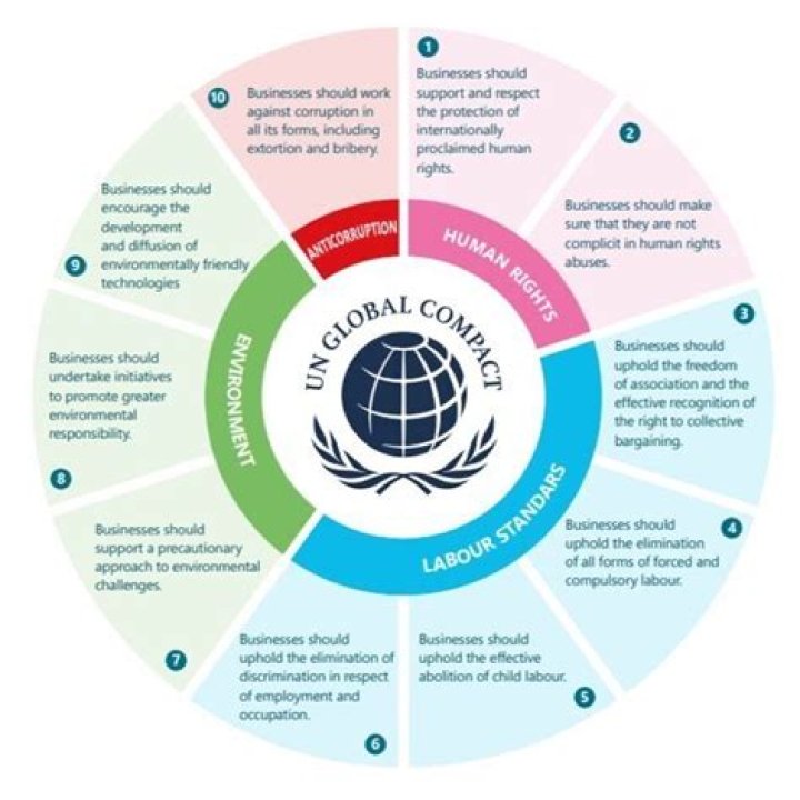 What is UN Global Compact participant?