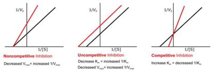 What is uncompetitive inhibition explain with example?