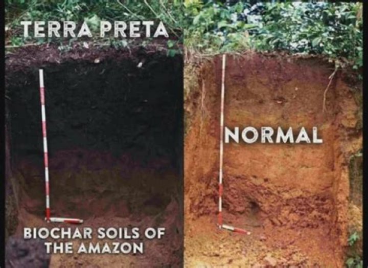 What is unique about Terra Preta?