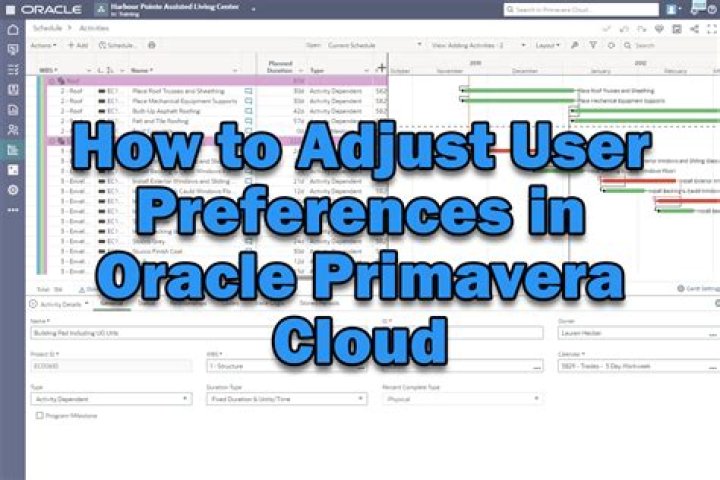 What is user preferences in Primavera P6?