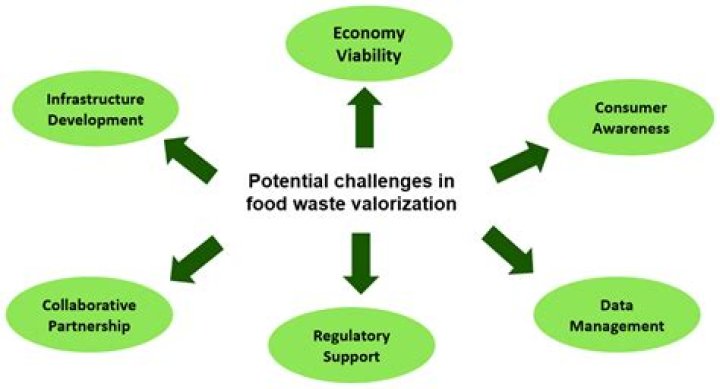 What is valorization meaning?
