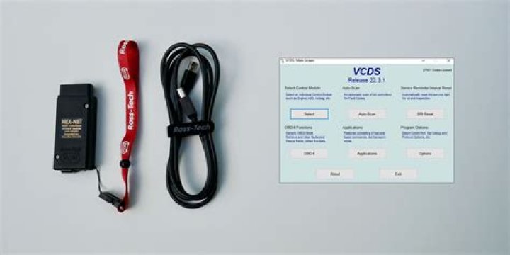 What is VCDS?