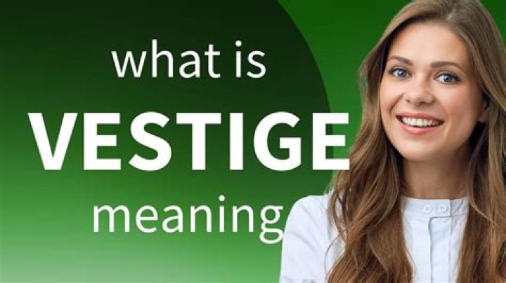 What is vestige definition?