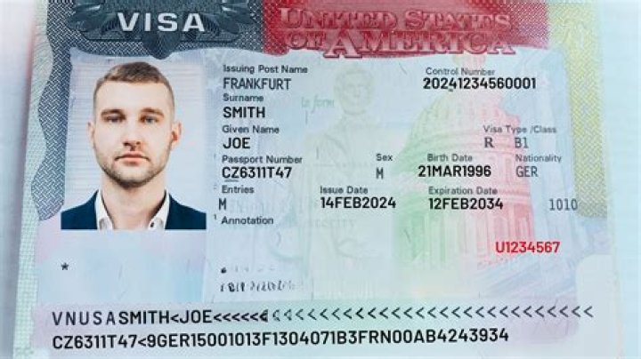 What is Visa Type R 01?