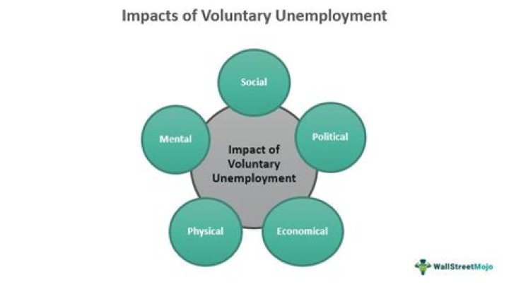 What is voluntary unemployment with example?