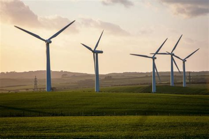 What is wind on leader?