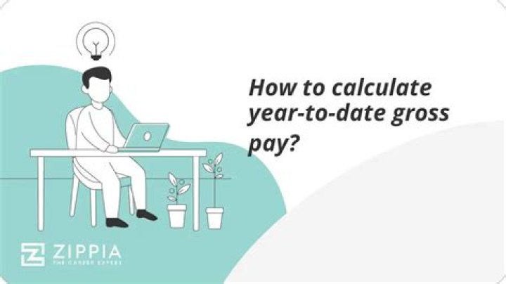 What is year-to-date gross pay mean?