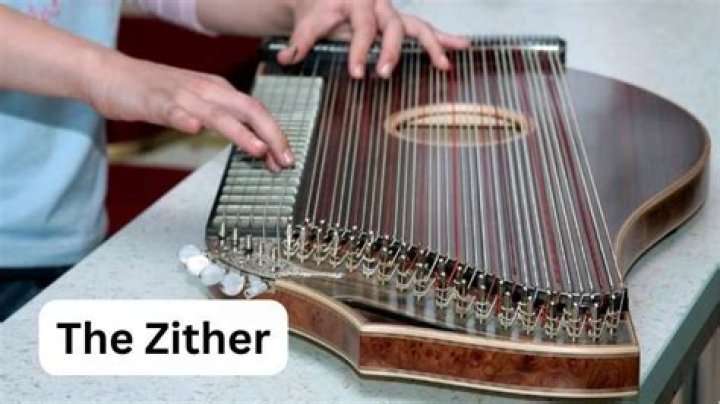 What is zither and lute?