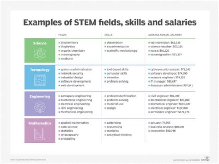 What jobs are in the STEM field?