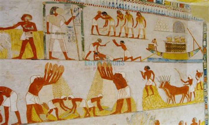 What jobs are popular in Egypt?