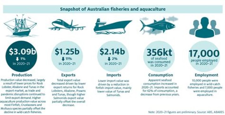 What jobs are related to fishing?