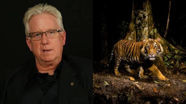 What jobs can you get working with big cats?