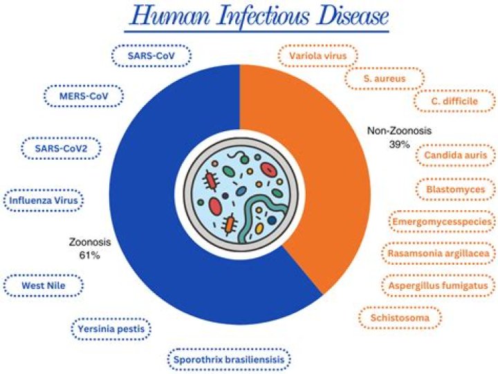 What jobs deal with infectious diseases?