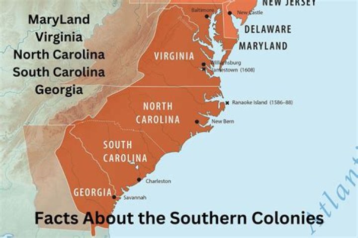 What jobs did South Carolina colony have?