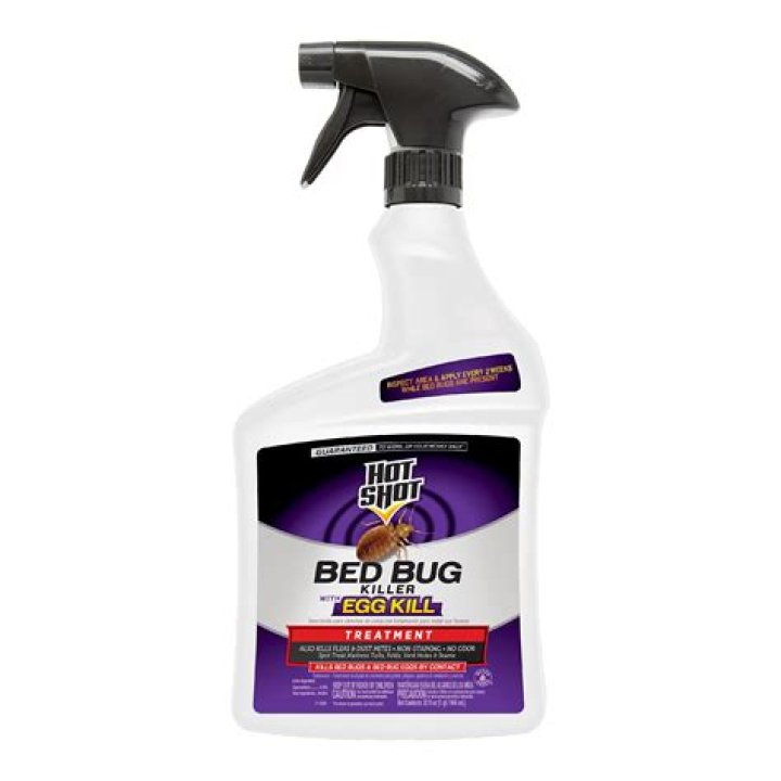 What kills bed bugs right away?