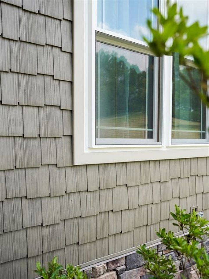 What kills mildew on vinyl siding?