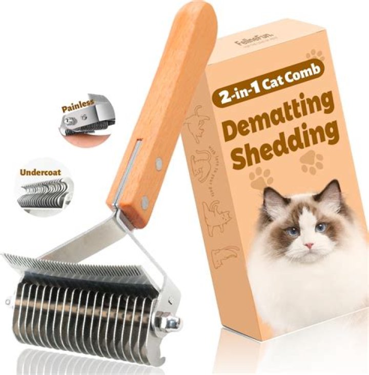 What kind of brush is best for long haired cats?