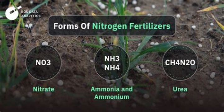 What kind of fertilizer is 16-16-16?