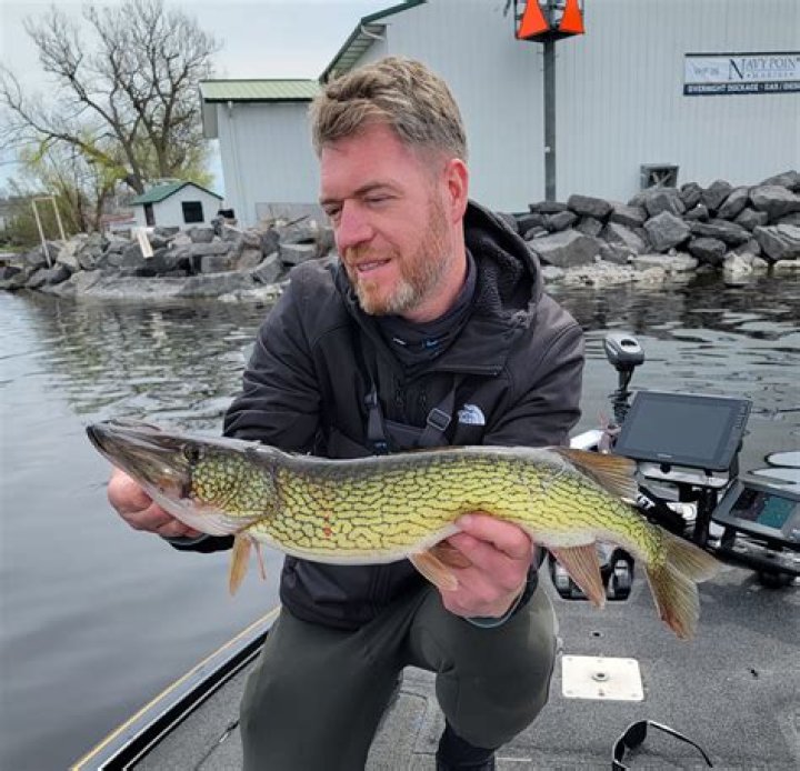What kind of fish are in Sheepscot Lake?