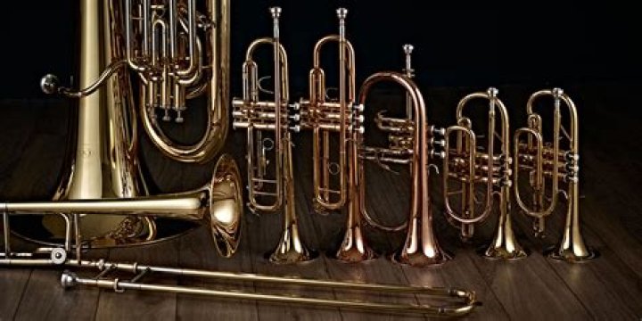 What kind of instruments are horns?