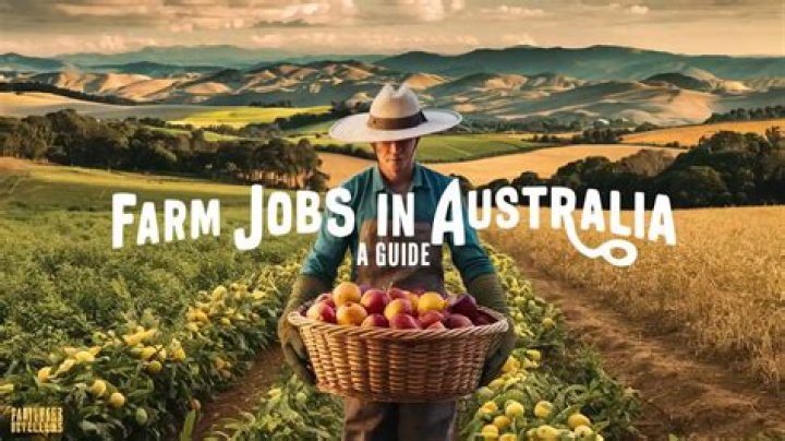 What kind of jobs are in Montana?