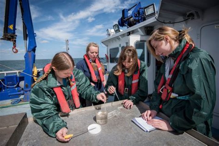 What kind of jobs do oceanographers do?