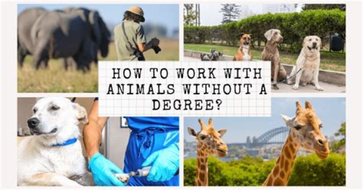What kind of jobs let you work with animals?