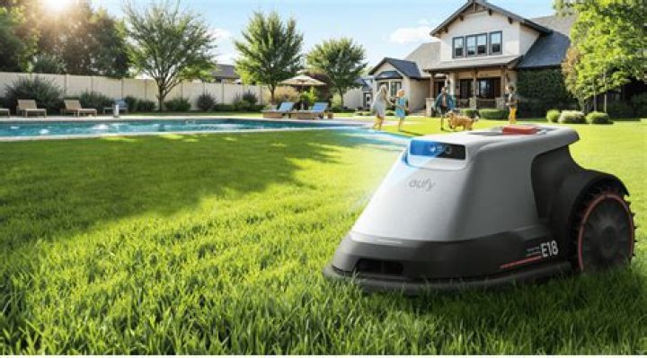 What kind of mower is best for grass?
