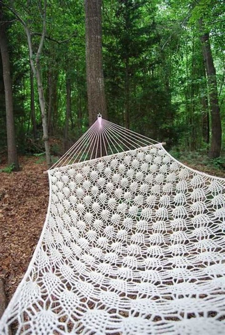What kind of rope do you use for a hammock?