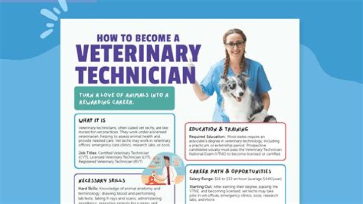 What kind of schedule does a vet have?