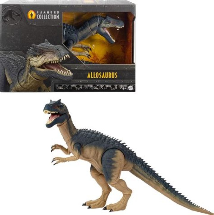 What kind of teeth did the Allosaurus have?