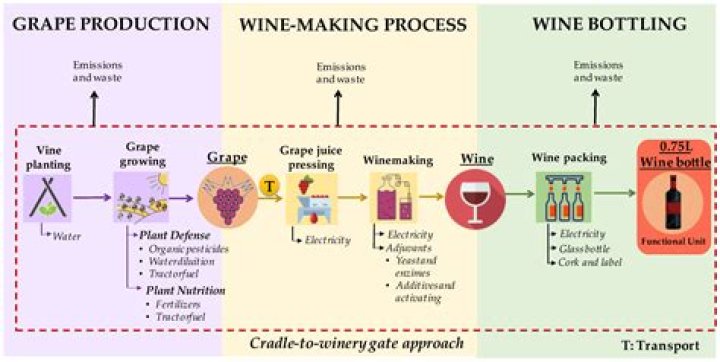 What kind of wine is made from Marquette grapes?