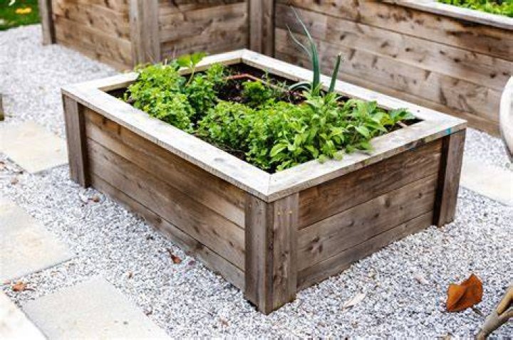 What kind of wood should I use for a raised garden bed?