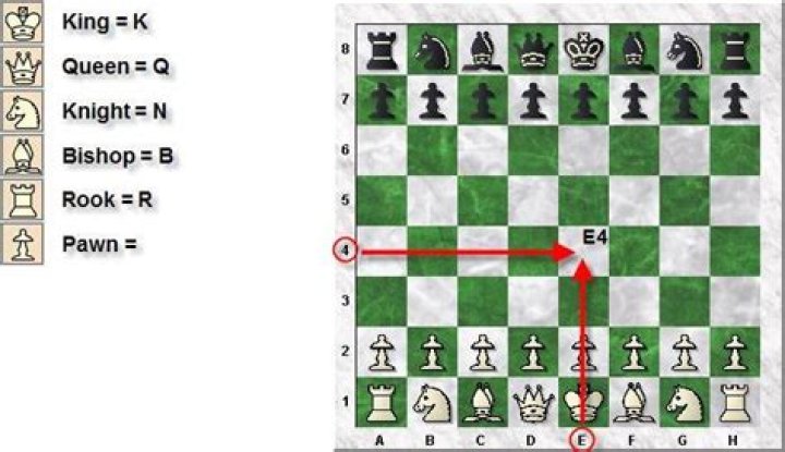 What language are chess engines written in?