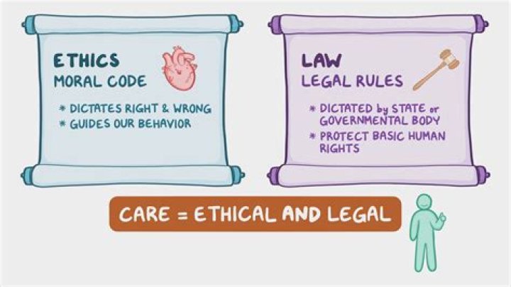 What legal and ethical responsibilities do veterinary professionals have?