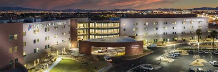 What level hospital is Spring Valley Hospital?