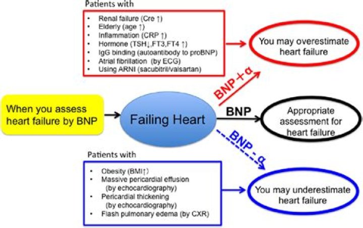 What level of BNP indicates heart failure?