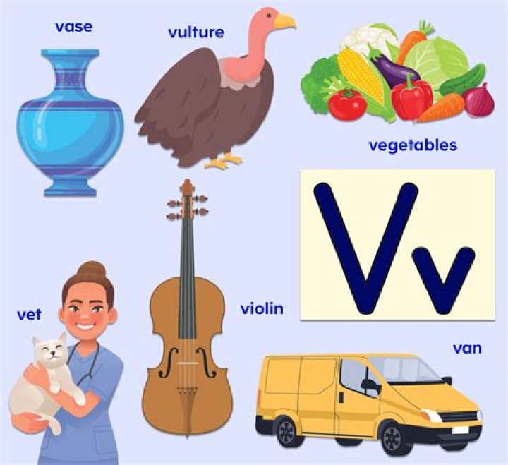 What mammal starts with the letter V?