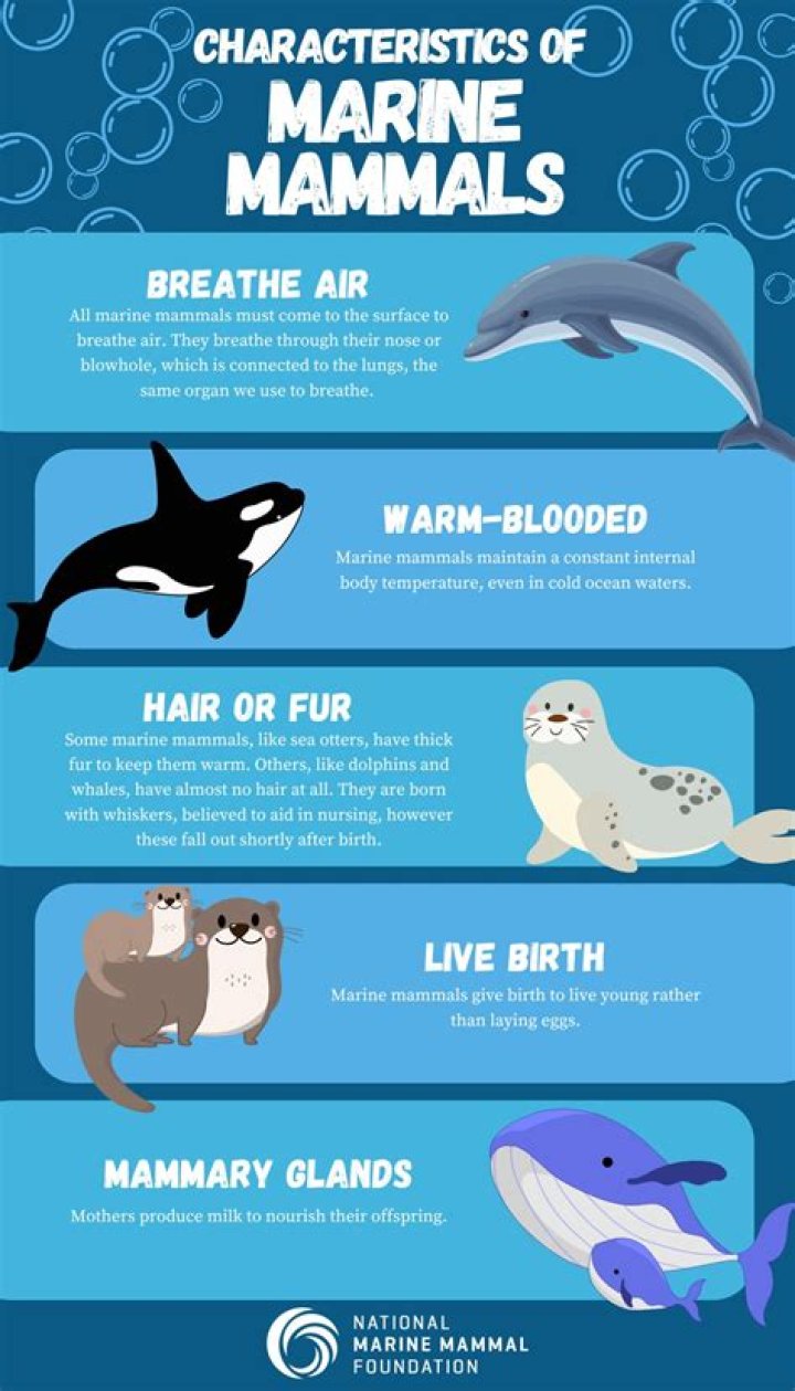 What mammals are found in Mexico?