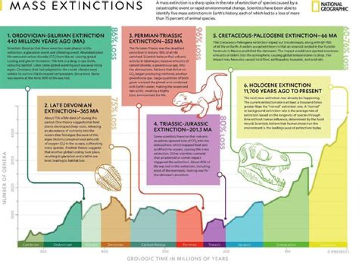 What mass extinction was 200 million years ago?