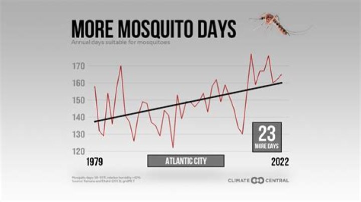 What months are mosquitoes most active in Florida?